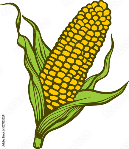 Corn cob drawing clipart design illustration