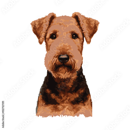 Airedale Terrier Standing Watercolor vector Illustration on transparent background, Close up of an airedale terrier standing pose looking front , Watercolor logo silhouettes of Dog 