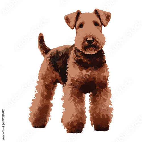 Airedale Terrier Standing Watercolor vector Illustration on transparent background, Close up of an airedale terrier standing pose looking front , Watercolor logo silhouettes of Dog 