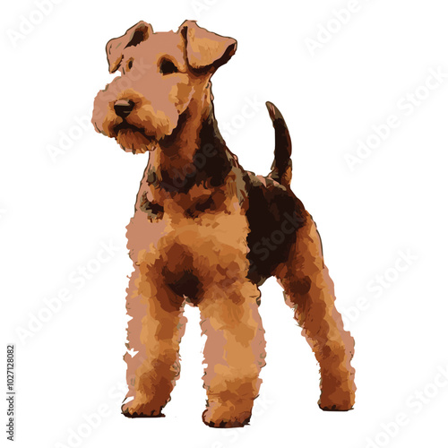 Airedale Terrier Standing Watercolor vector Illustration on transparent background, Close up of an airedale terrier standing pose looking front , Watercolor logo silhouettes of Dog 