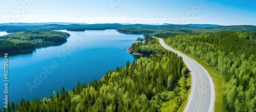 Aerial View of Scenic Lake Road Through Forest