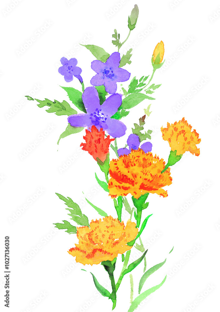 Flowers watecolor drawing, flower over white background painting Flowers watecolor drawing, flower over white background painting