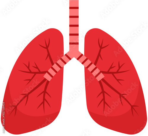 Flat Illustration Of Lungs Human Organ