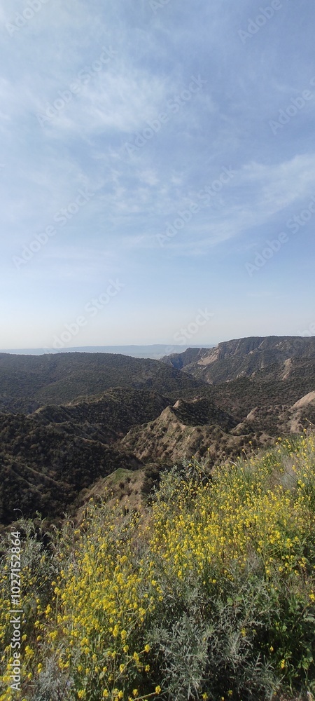 Naklejka premium view from the top of the hill