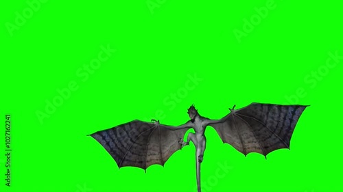 Dragon Flying On Green Screen 23  photo