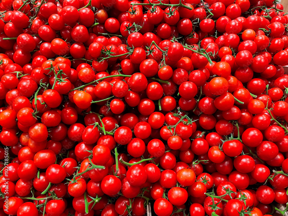 Tomatoes. Red cherry tomatoes on green branches. Ripe organic tomatoes in the market. Tomatoes. Red cherry tomatoes on green branches. Ripe organic tomatoes in the market.