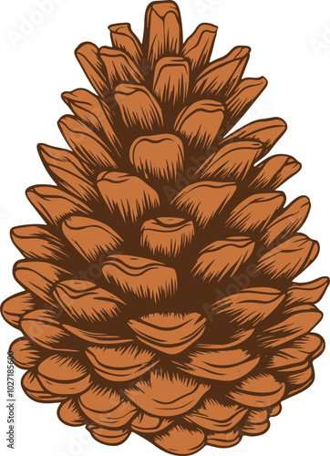 Pine tree cone clipart design illustration