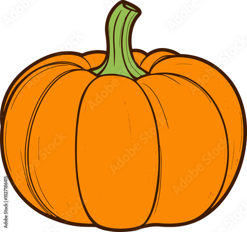 Pumpkin drawing clipart design illustration photo