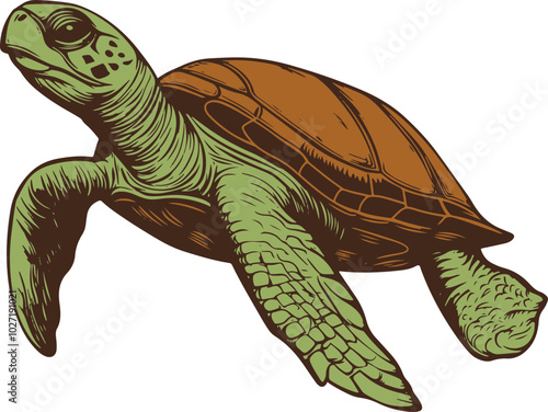 Turtle drawing clipart design illustration