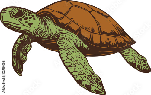 Turtle drawing clipart design illustration