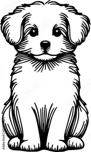 Fotografía Black Line Art Cute Small Dog Pet Sitting Pose Hand Drawn Illustration