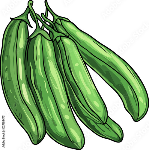 Fresh Green Beans Illustration - Realistic Vegetable Design