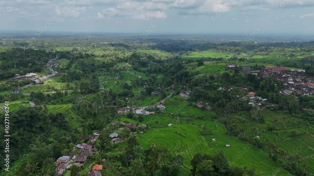 Drone post of view at Wonderful green landscape with rice fields. High quality 4k footage Drone post of view at Wonderful green landscape with rice fields. High quality 4k footage