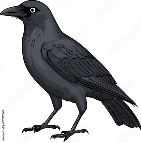 Realistic Crow Drawing Illustration - Detailed Bird Design photo