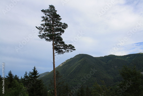 W drodze na gore Semmering. photo