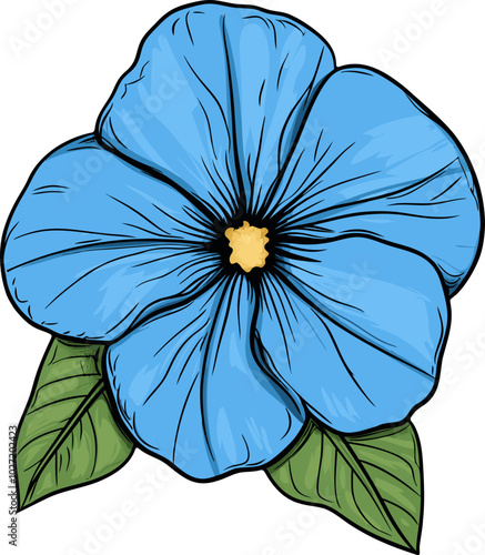 Elegant Morning Glory Flower Illustration - Detailed Floral Design