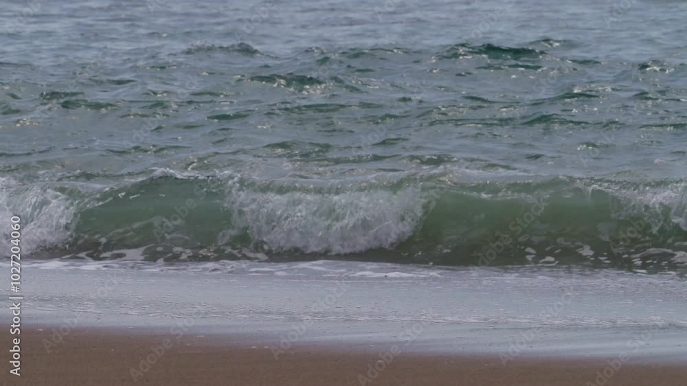 Waves on a tropical beach Waves on a tropical beach