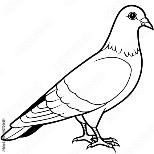 simple icon Children coloring book page, line art, monochrome black and white, cartoon outline cute style, illustration of a pigeon