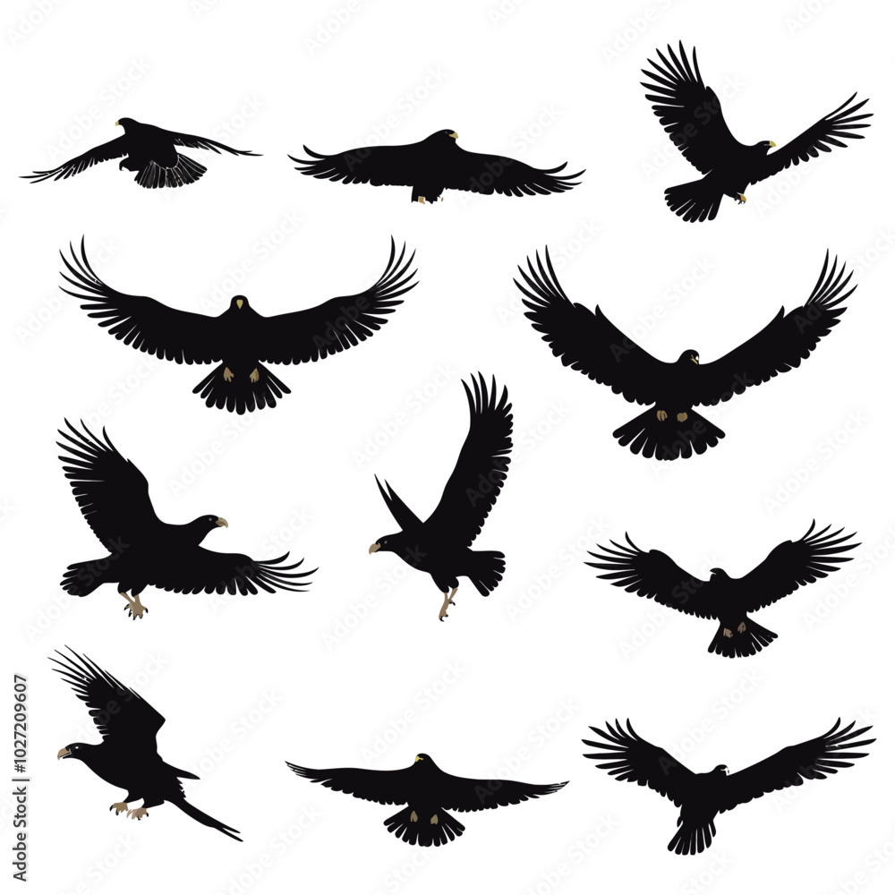 Obraz premium Set of black bird silhouettes