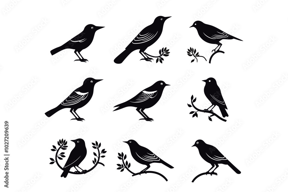 Fototapeta premium Set of black bird silhouettes. Vector elements