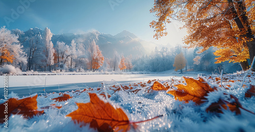 Forest, Autumn leaves, Frost adheres to Autumn leaves, Temperatures Drop, Snow. photo