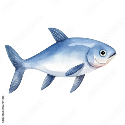 A blue fish with a white belly and a black mouth