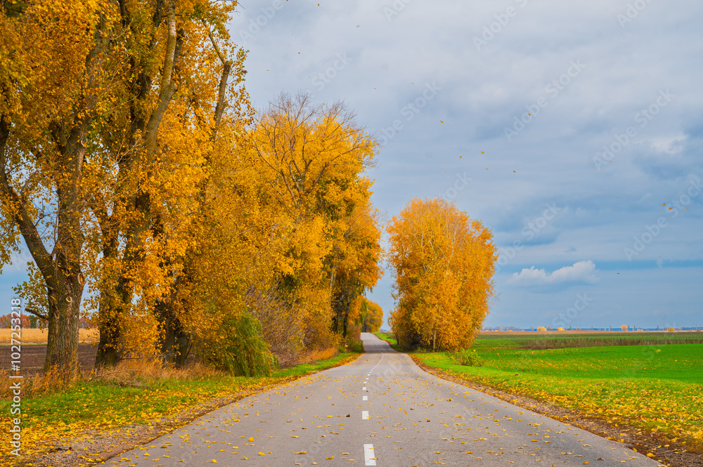 Rural road stretching into the horizon, framed by vibrant autumn trees and expansive fields. Perfect for travel, nature, and scenic landscape themes. Autumn mood for travel. Rural road stretching into the horizon, framed by vibrant autumn trees and expansive fields. Perfect for travel, nature, and scenic landscape themes. Autumn mood for travel.
