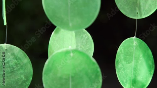 Closeup of an acoustics wind chime mobile with green capiz shells hanging in a garden and moving in the wind