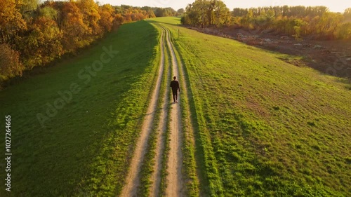 Aerial drone video from autumn color trees and field in the golden hour sunset while a person walking.
