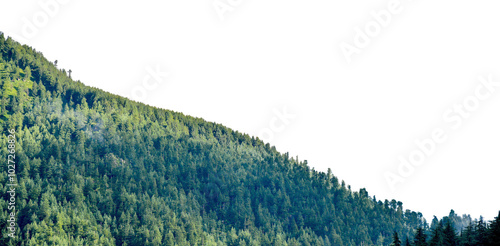View of tropical forest with side of mountains on background, Adventure cut out transparent isolated on white background PNG file