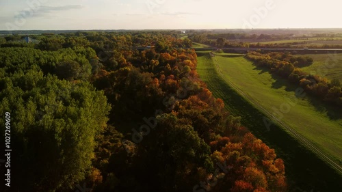 Aerial drone video from autumn color trees and field in the golden hour sunset