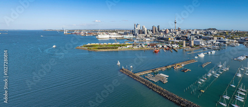 Aerial: Westhaven marina looking back to Auckland city, New Zealand photo