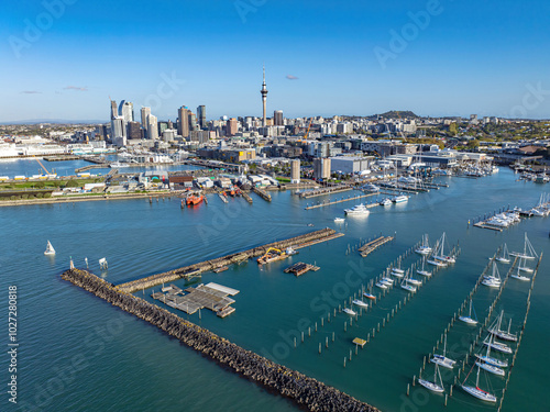 Aerial: Westhaven marina looking back to Auckland city, New Zealand photo