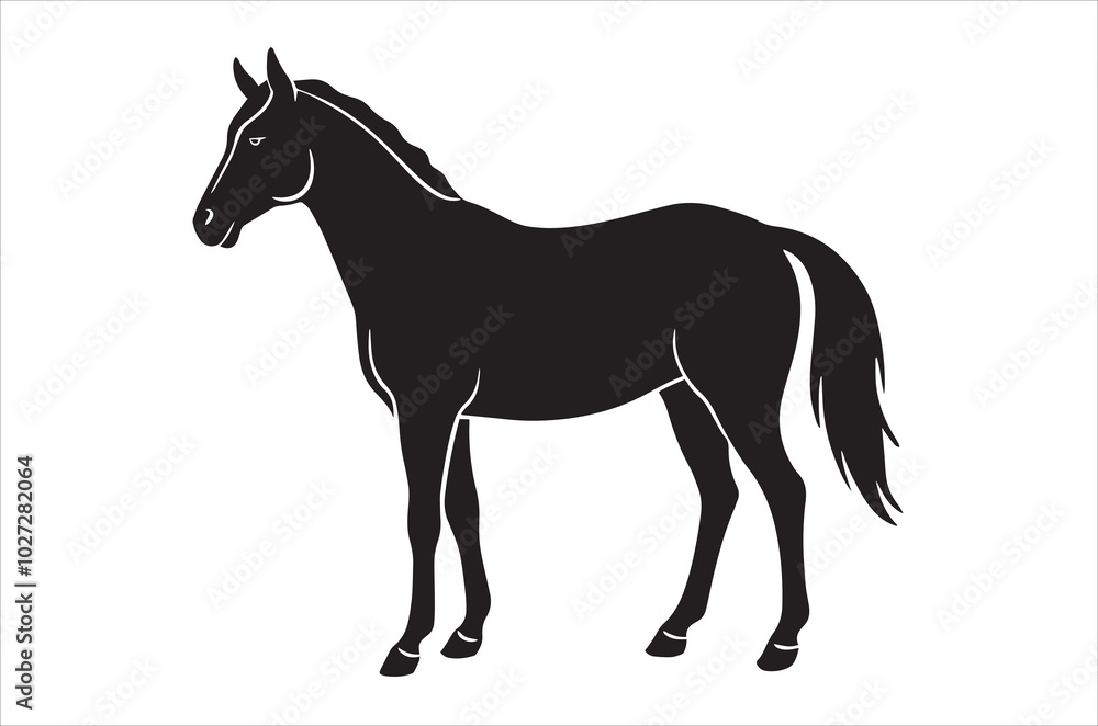 horse illustration horse illustration
