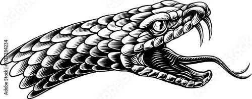 A snake head in a vintage woodcut engraved etching illustration style