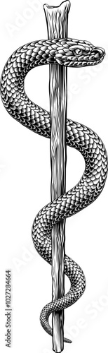 Rod of Asclepius staff medical symbol. Intertwined snake around a rod or wooden staff. Often mistakenly called a Caduceus. Doctor icon for medicine and health care. Vintage woodcut etching style.