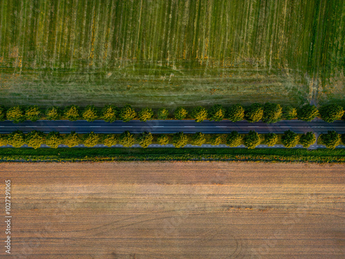 Split View of a road going through two fields