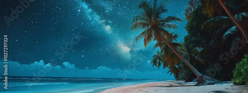 Panoramic stunning view of night tropical beach on the background of starry sky photo