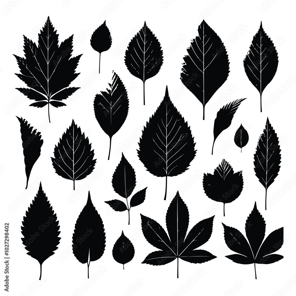 Fototapeta premium Black leaves silhouettes set collection. Generated With Ai