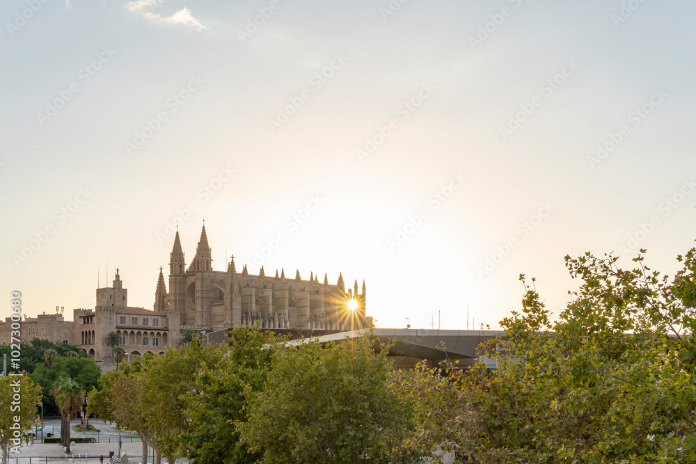 General view of the catholic Christian cathedral of Palma de Mallorca at sunrise on a summer day. Spain General view of the catholic Christian cathedral of Palma de Mallorca at sunrise on a summer day. Spain