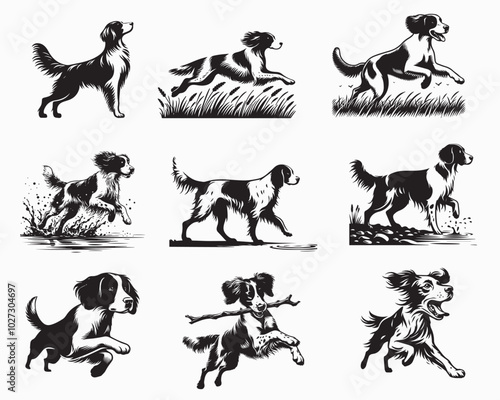 Collection of Brittany Spaniel Dog vector illustration - Brittany Spaniel Dog Silhouette Clipart Design
