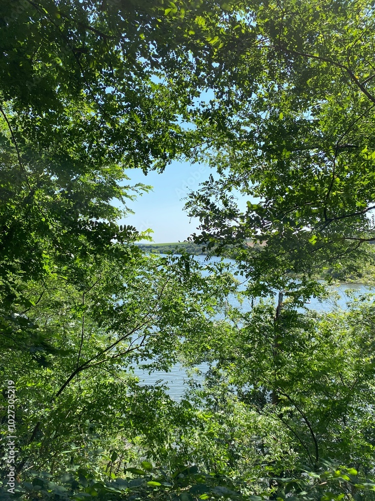 Fototapeta premium Lac de la Vouraie vendée