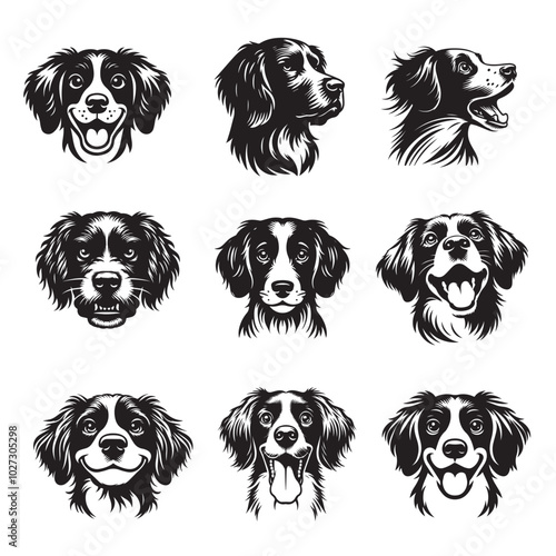 Collection of Brittany Spaniel Dog vector illustration - Brittany Spaniel Dog Different Activities Clipart Design