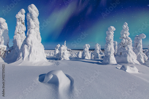 Northern lights in Finland. Snow covered fir trees under the beautiful night sky with colorful aurora borealis.