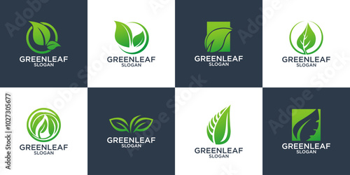 set of leaf logo collection symbolizing life logo design vector template