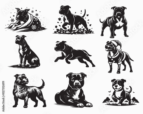 Set of Stafford Dog vector illustration - Stafford Dog Different Activities Clipart Design
