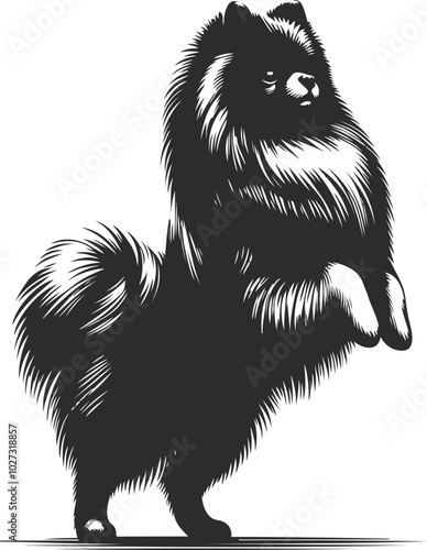 Portrait of a Pomeranian Dog Vector isolated on white background Dog Silhouettes.