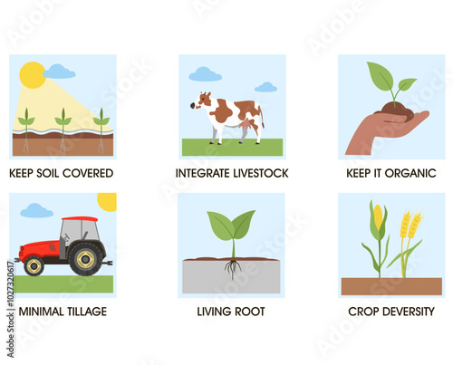 Regenerative agriculture farming icon set, responsible ecological farm concept, soil health and nature friendly. Minimize soil disturbance, integrate livestock, maintain living root