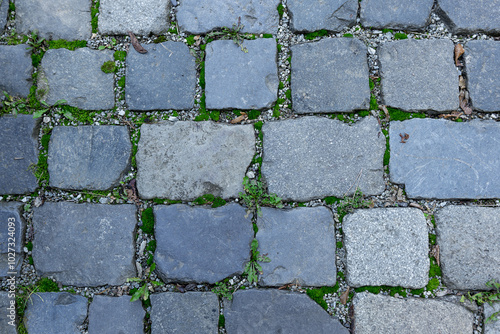 A view of a part of the pavement made of stone paving blocks overgrown with grass.