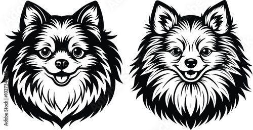 Portrait of a Pomeranian Dog Vector isolated on white background Dog Silhouettes.